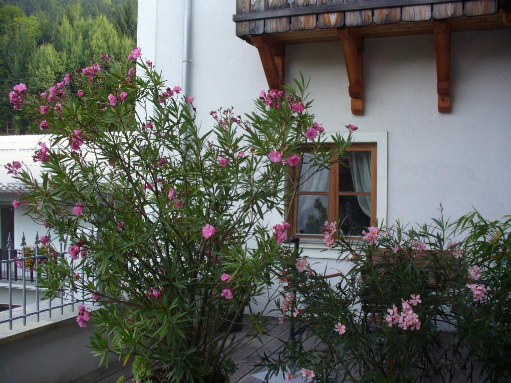 Mitschighof - Apartments Und Pension - Heidis-Welt, Mitschig Hermagor-Pressegger See Room photo